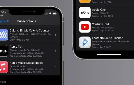 Apple subscription