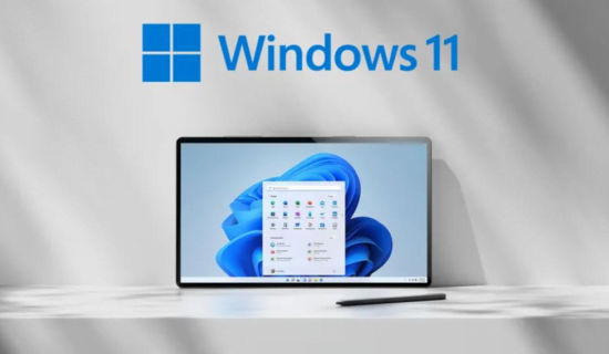 Windows 11