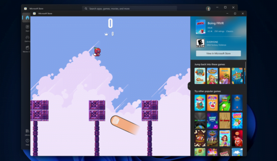 Windows 11