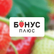 Бонус Плюс