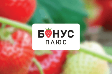 Бонус Плюс