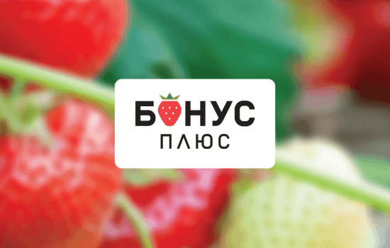 Бонус Плюс