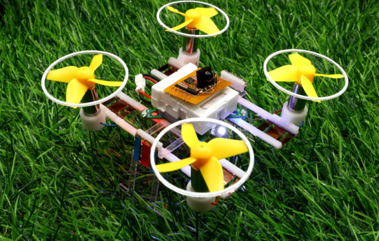 Найменший мікроробот у світі