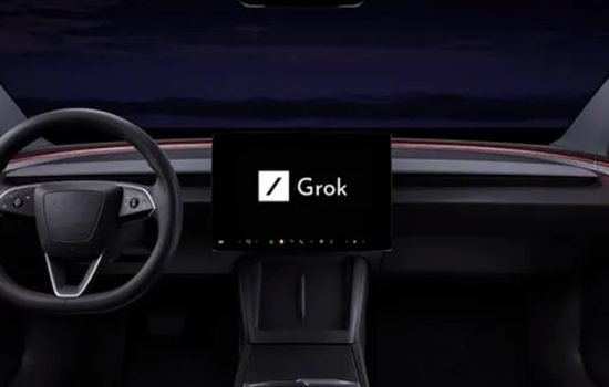 xAI Grok