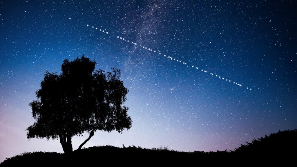 Starlink