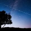Starlink