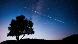 Starlink