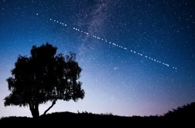 Starlink
