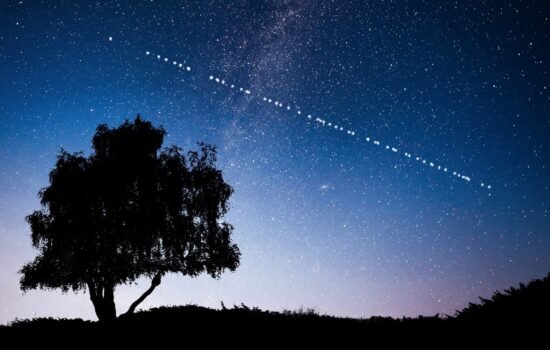 Starlink