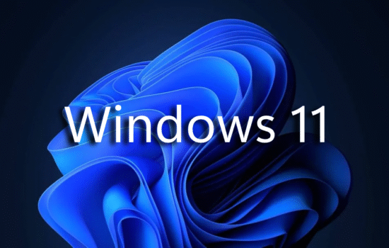 Windows 11