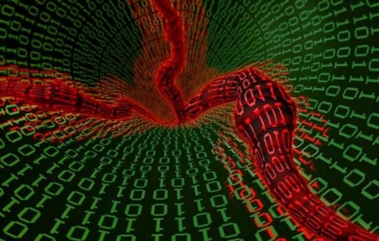 Хробак Морріса