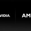 NVIDIA AMD