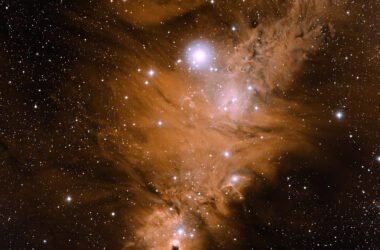 Скупчення NGC 2264