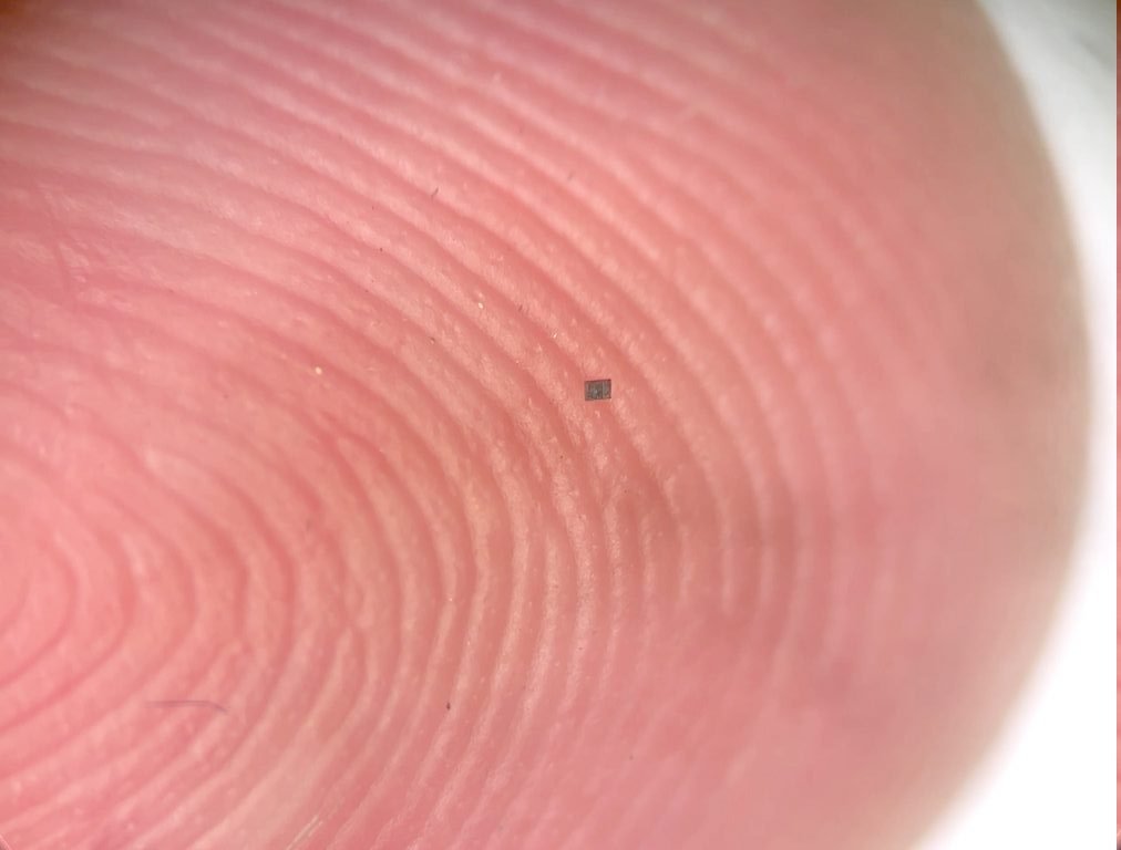 У США науковці створили найменших автономних роботів у світі