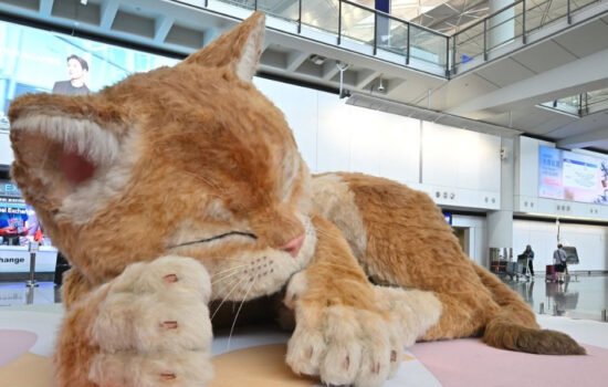 Гігантський кіт у Гонконзі: інтерактивний арт-об'єкт, що реагує на дотики